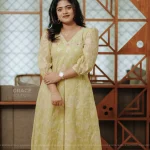 N5295 Embroidered Chanderi Aline Dress ( Size : 36)